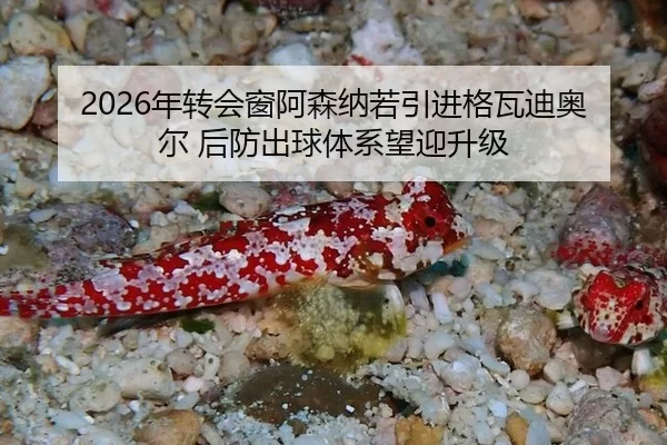 nian-zhuan-hui-chuang-a-sen-na-ruo-yin-jin-ge-wa-di-ao-er-hou-fang-chu-qiu-ti-xi-wang-ying-sheng-ji-2-157.jpg