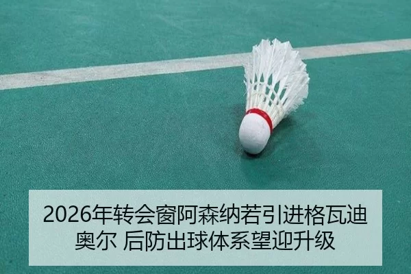 nian-zhuan-hui-chuang-a-sen-na-ruo-yin-jin-ge-wa-di-ao-er-hou-fang-chu-qiu-ti-xi-wang-ying-sheng-ji-3-724.jpg
